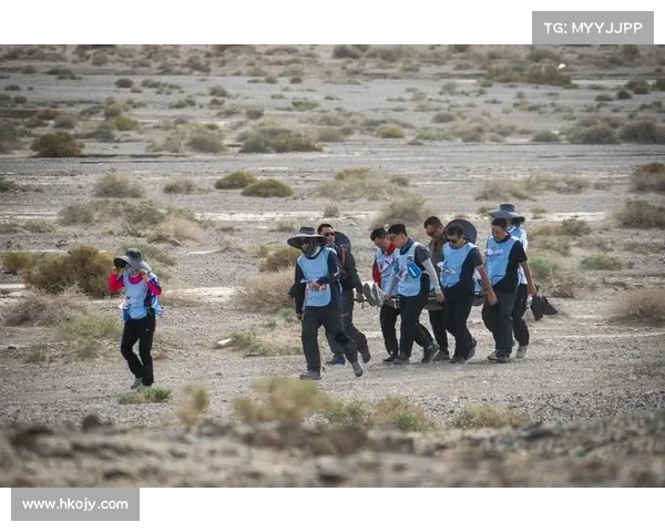 Dovetail平台助力团队高效协作的关键策略与成功秘诀解析